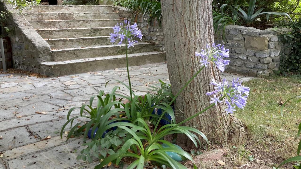 Deliziosa Casetta Con Dehor E Giardino Immersa Nel Verde Ligure Imperia Εξωτερικό φωτογραφία